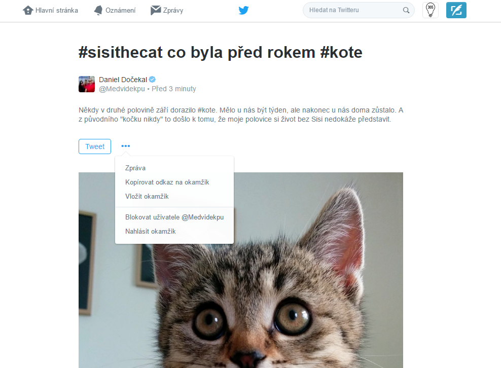 2016-09-30 09_43_00-#sisithecat co byla před rokem #kote.png