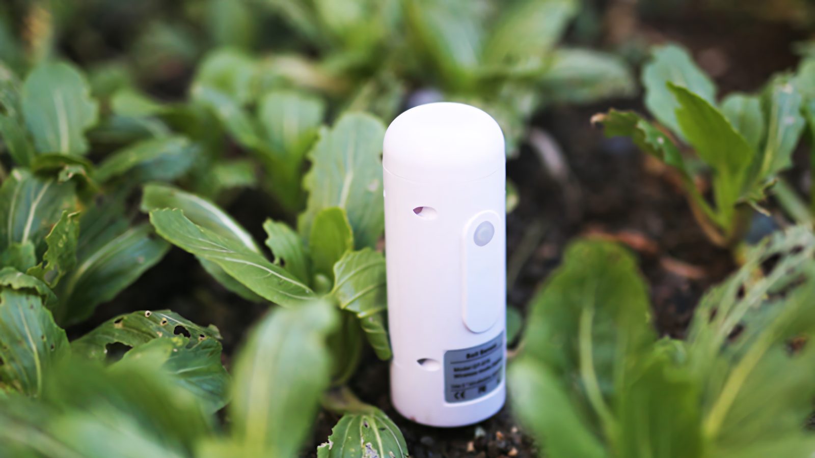 TIP#2670: Chytrý venkovní (i vnitřní) ZigBee senzor pro vaše plantáže. Pardon. Květinky