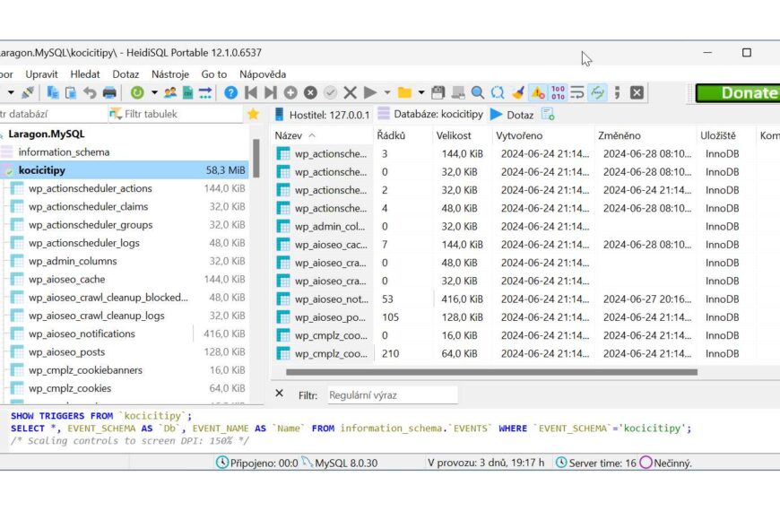 TIP#2727: Jak mohu spravovat a přistupovat k datům v SQL…